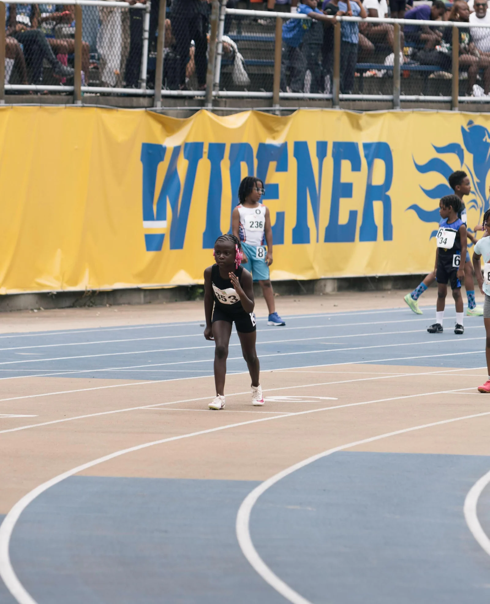 widener 06